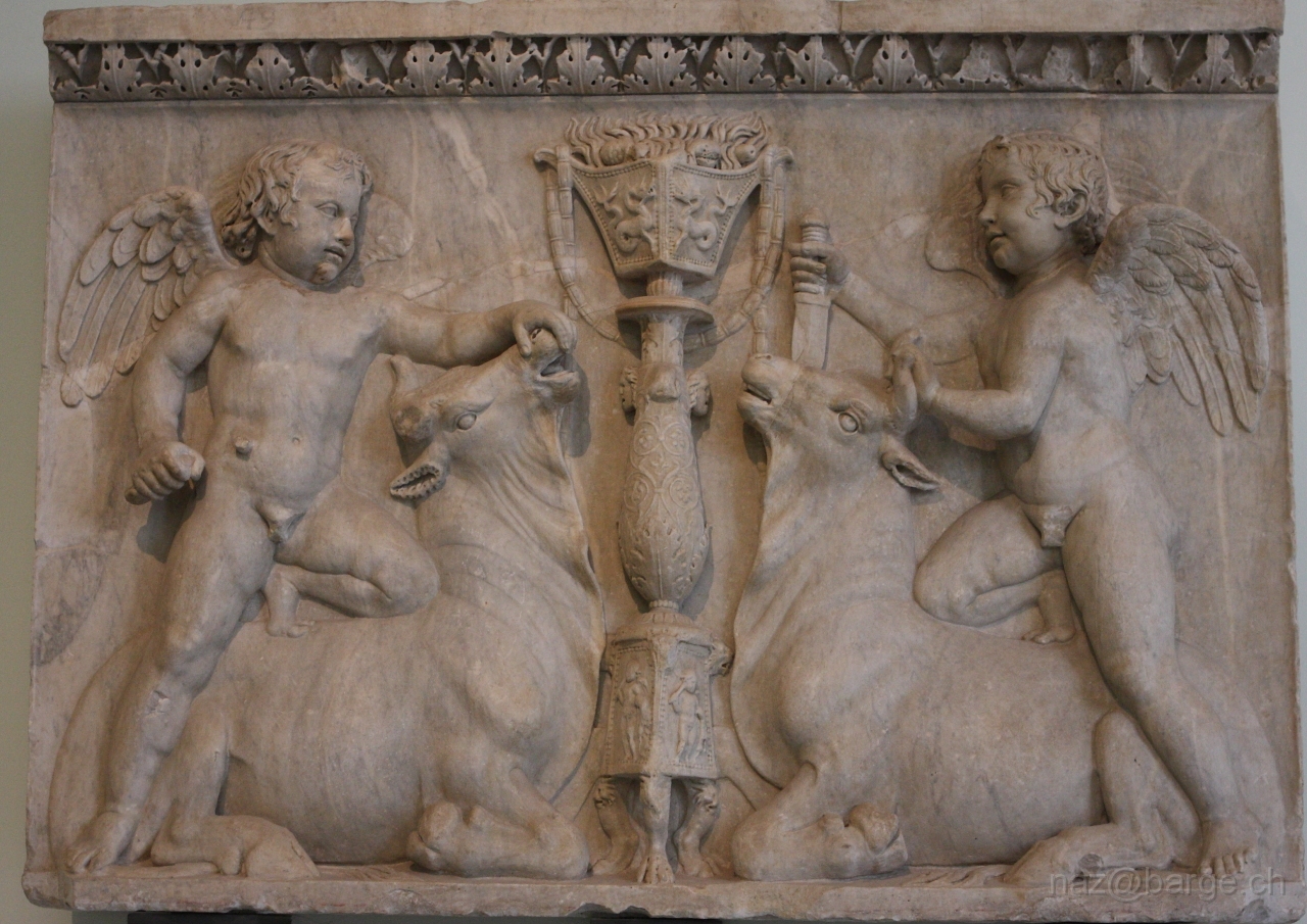 EOS 40D03_05_20120168.JPG